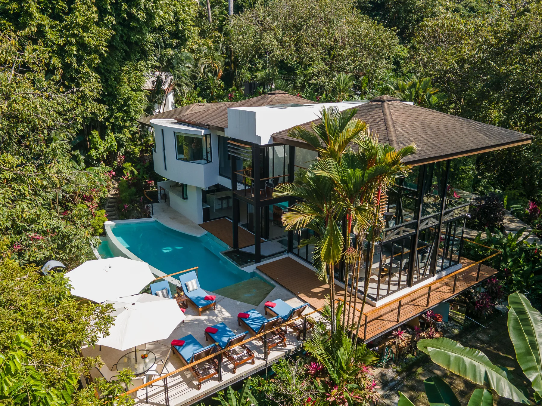 Una casa moderna rodeada de vegetación tropical, con una piscina junto a la terraza.