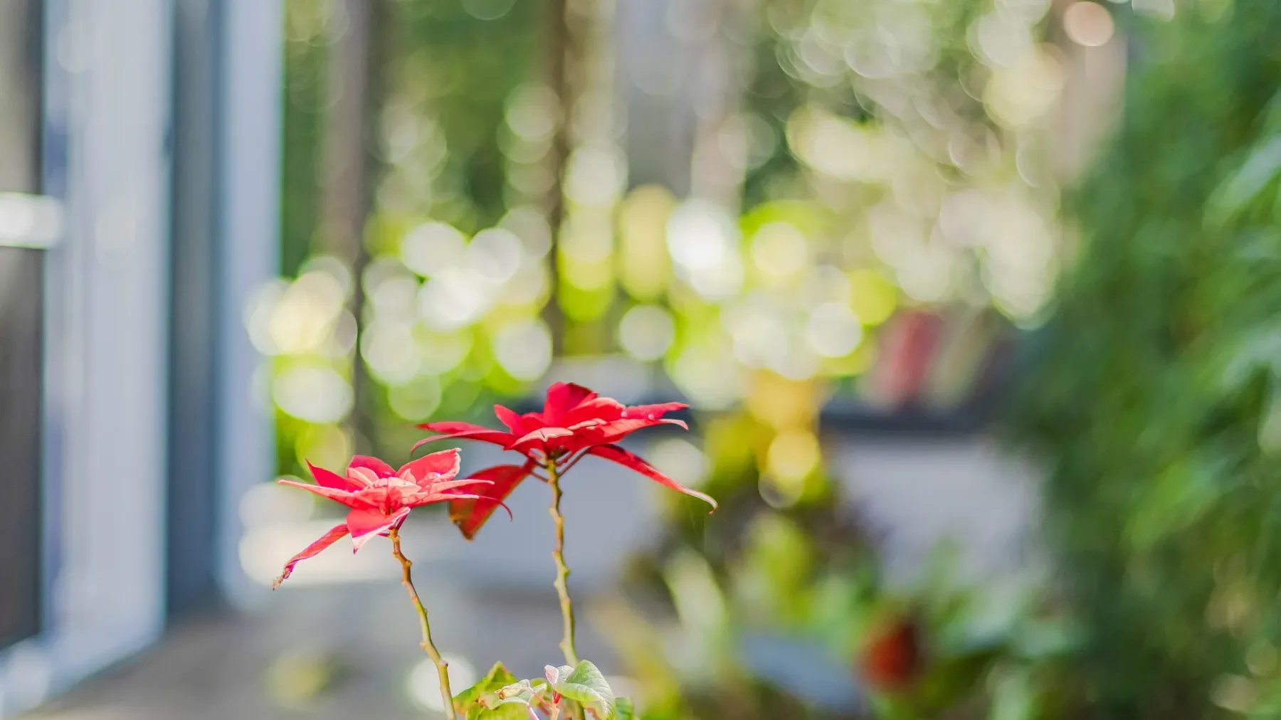 Tranquility at Tallows