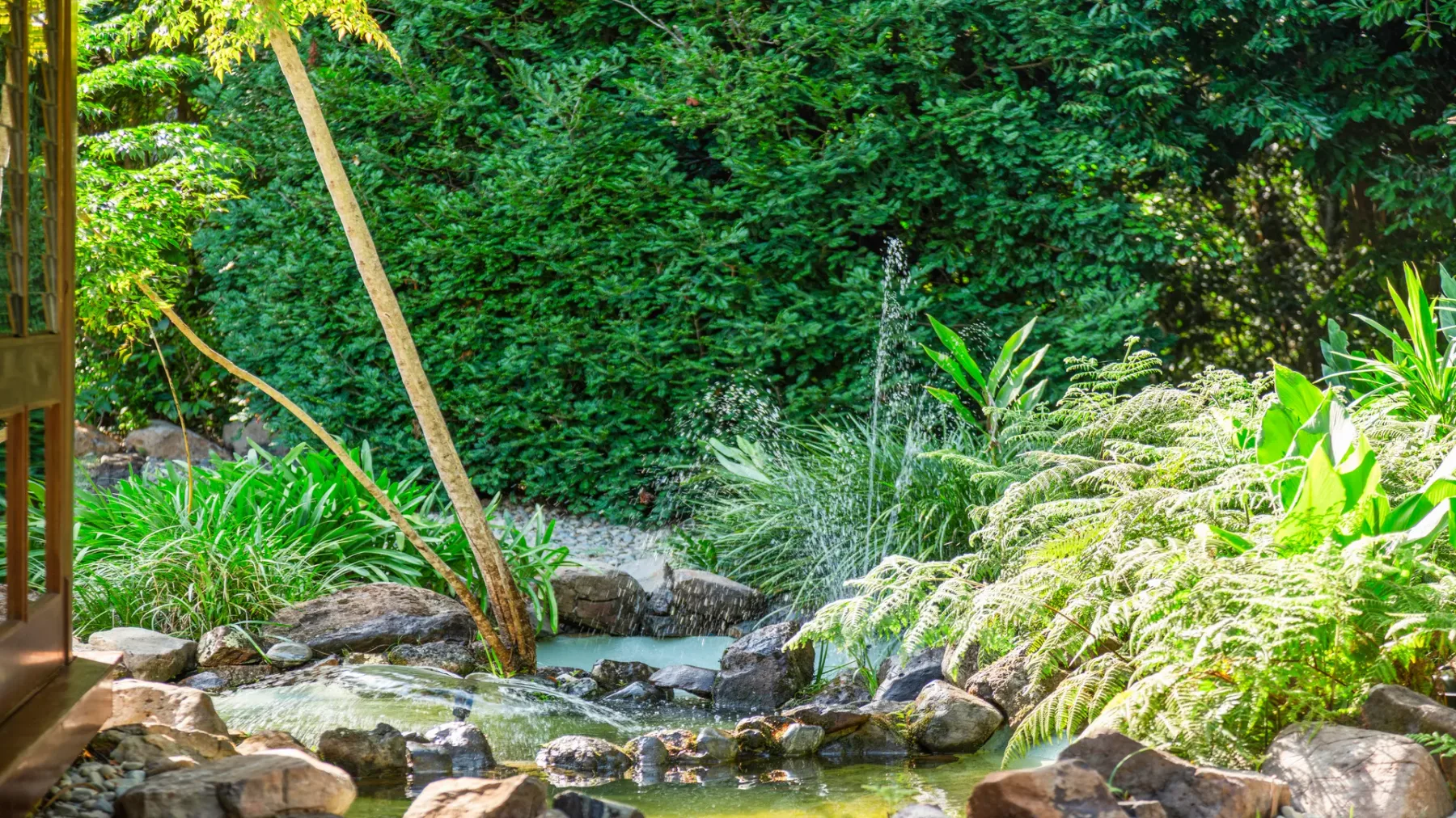 Un estanque de jardín rodeado de rocas y plantas verdes frondosas.