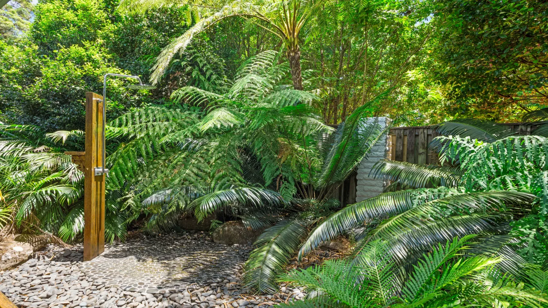 Un sendero ajardinado serpentea entre helechos y abundante vegetación tropical.
