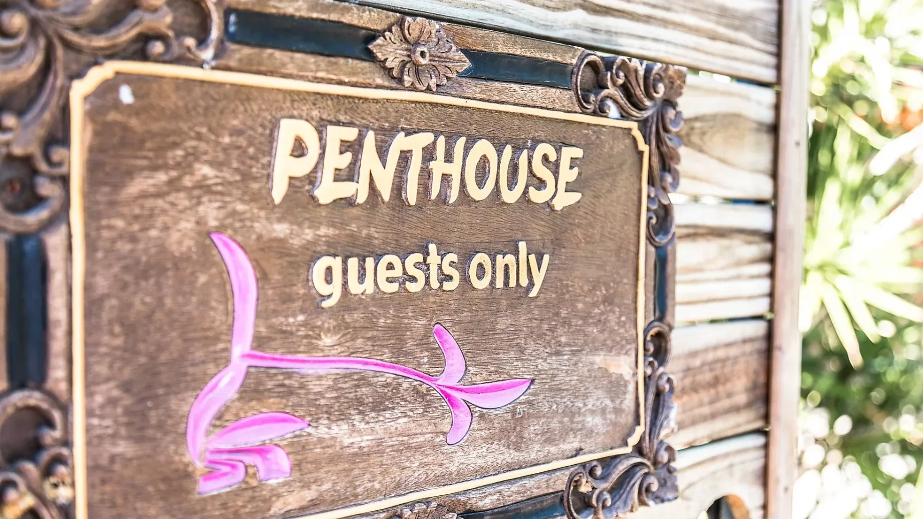 Byron Blisshouse Penthouse – Belongil Beach luxury