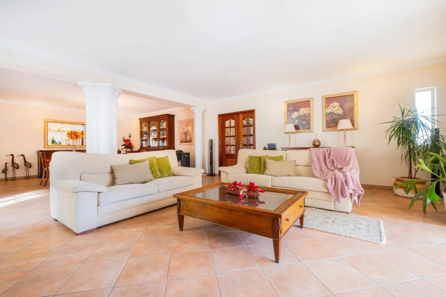 Villa Punta Cana