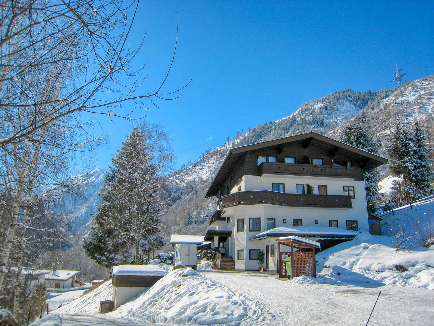 Zona común: Un edificio de varias plantas está entre árboles cubiertos de nieve, con una montaña detrás.
