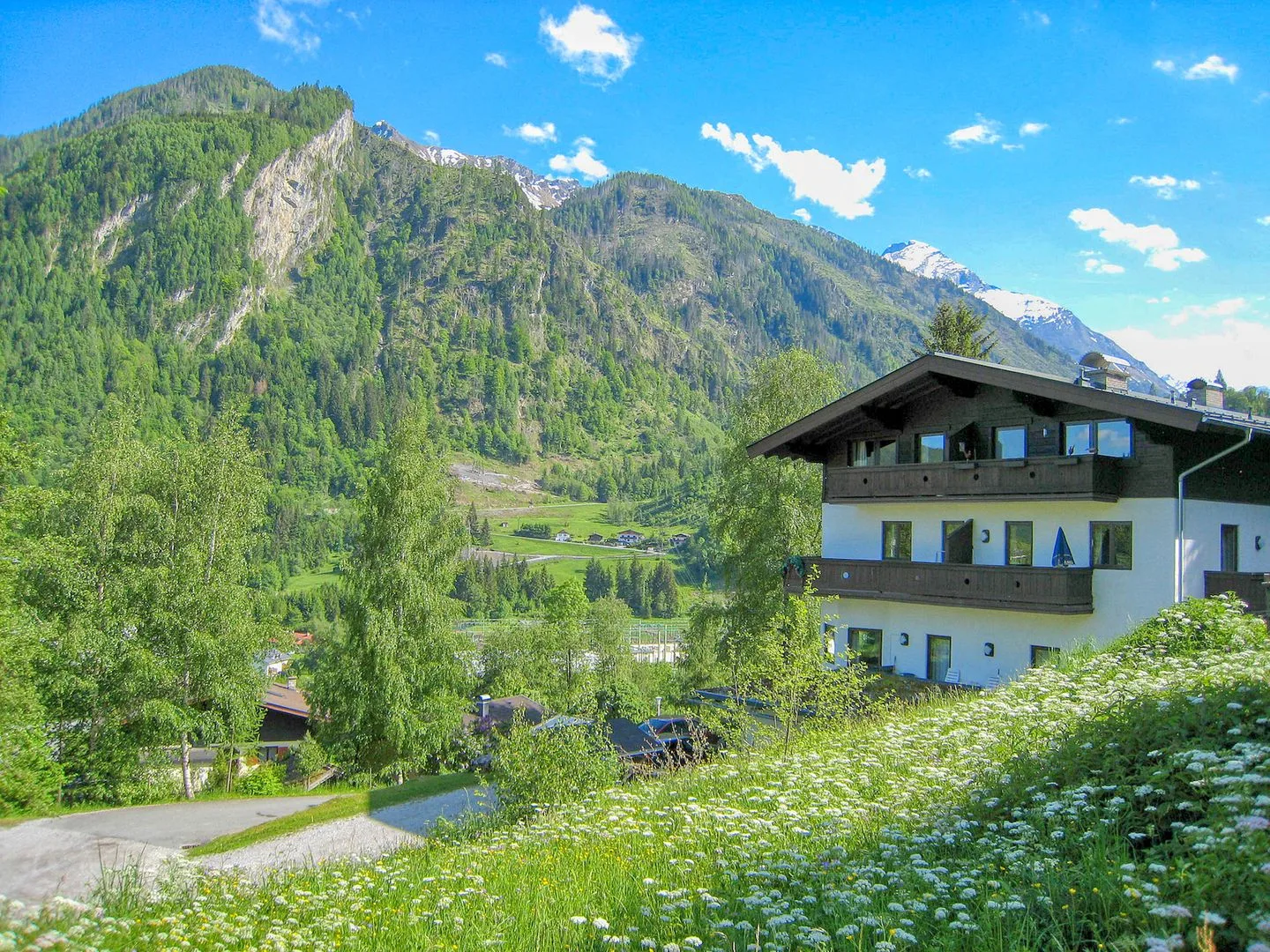 Zona común: Un edificio está junto a una ladera cubierta de flores, con montañas al fondo.