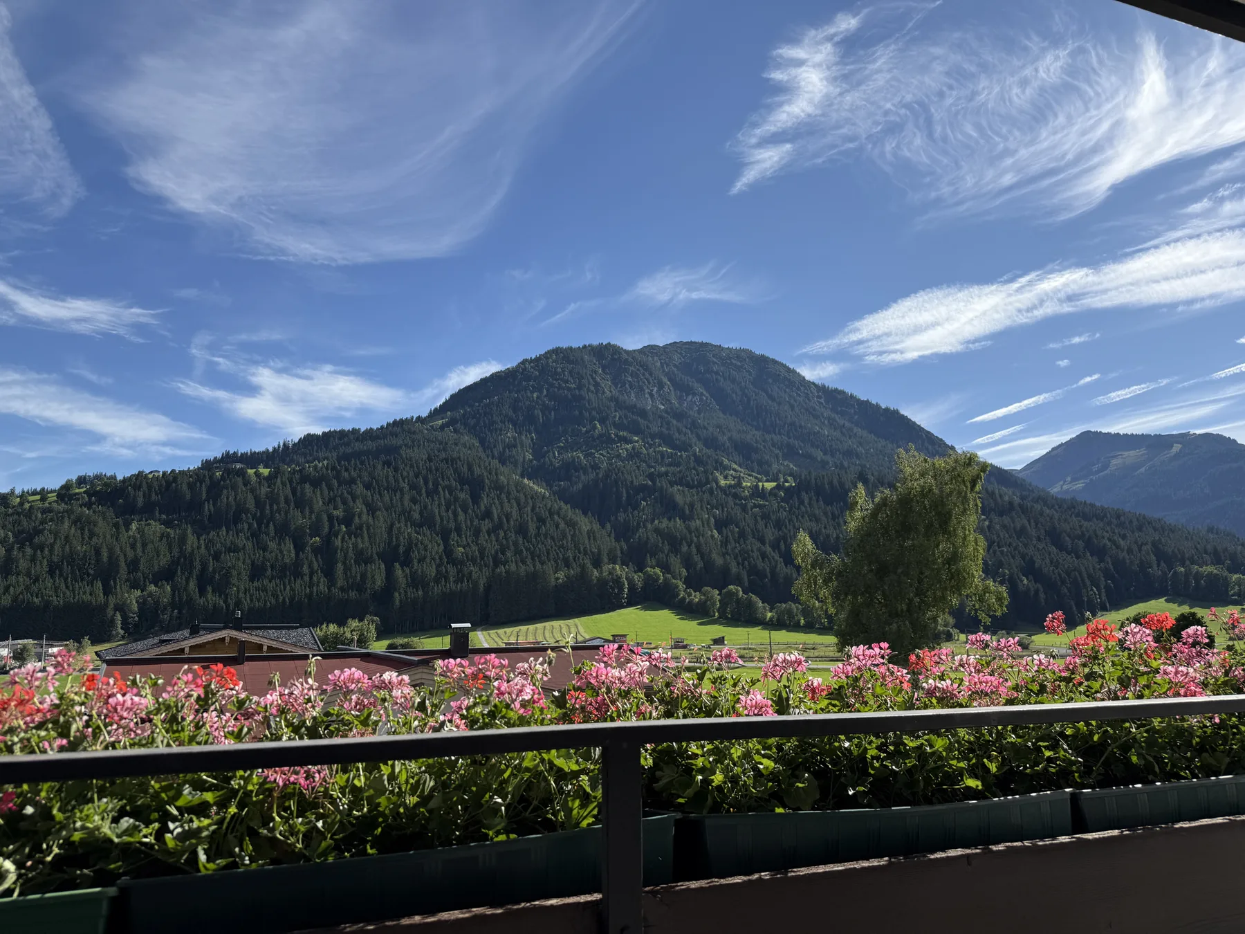 Un paisaje montañoso se alza detrás de una terraza bordeada de flores coloridas.
