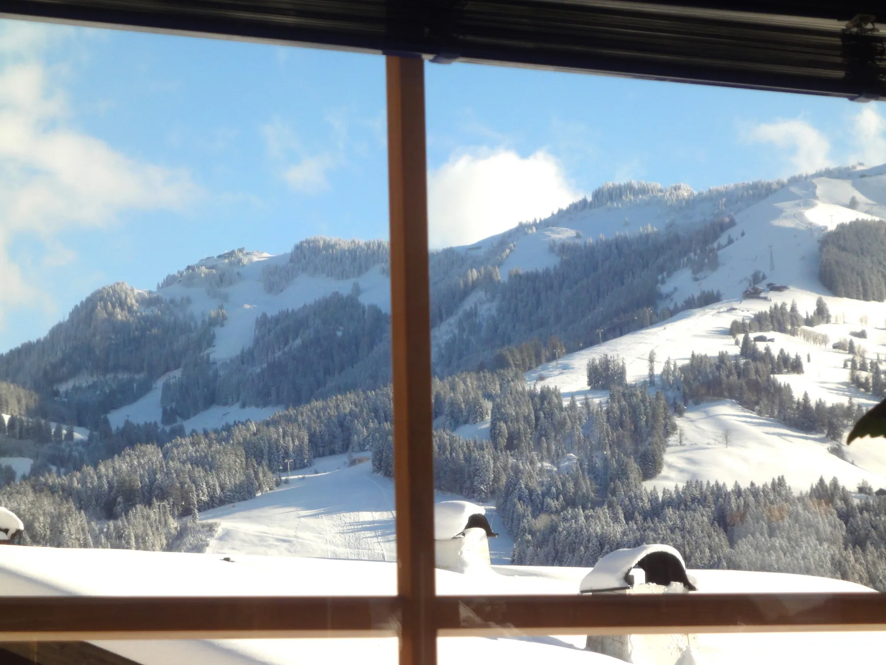 Se ven montañas nevadas y laderas boscosas a través de una ventana grande.