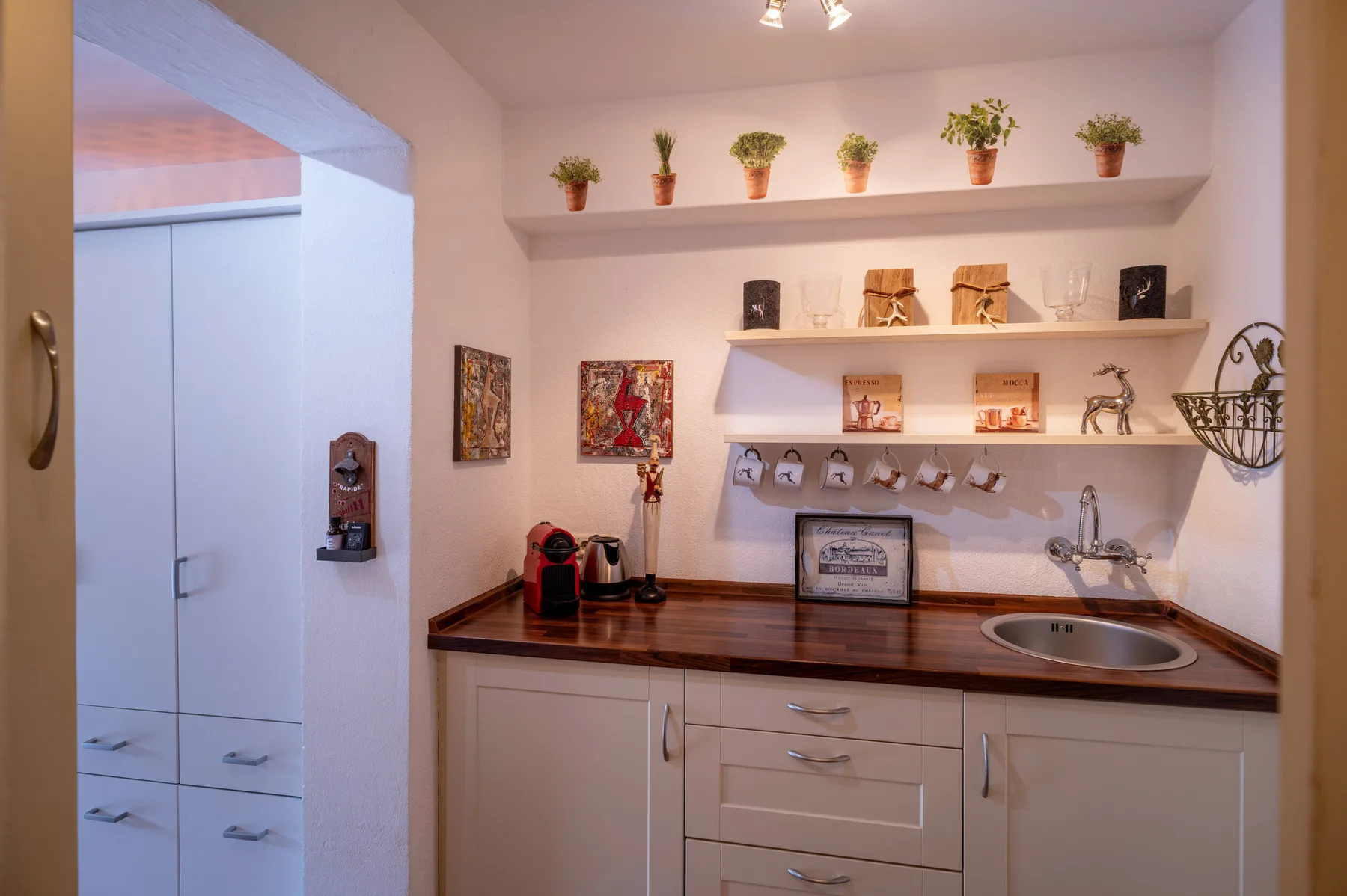Una pequeña cocina con encimera, fregadero y estantes abiertos con plantas y tazas.