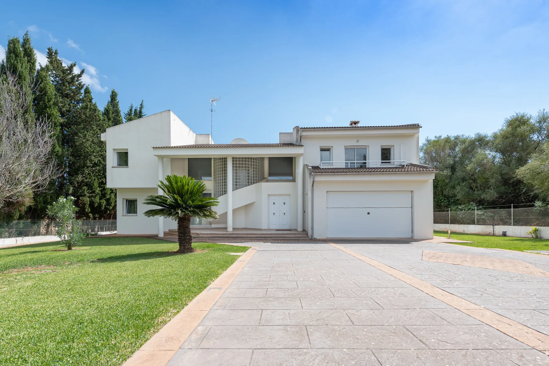 Modern Palmeras