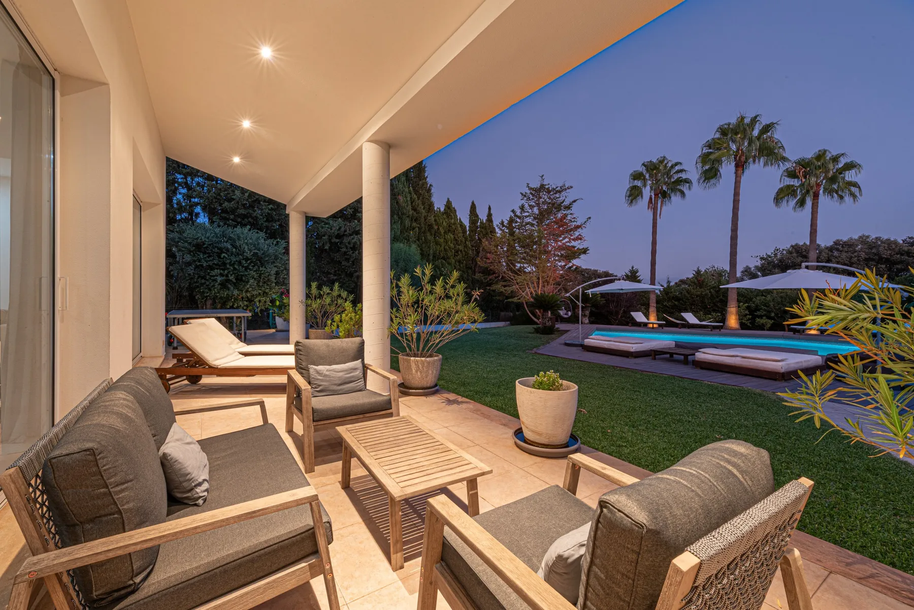 Modern Palmeras