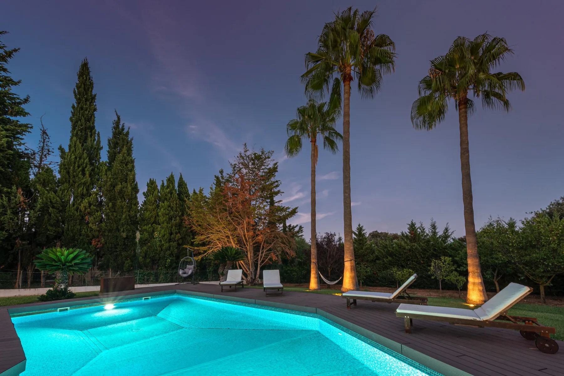 Modern Palmeras