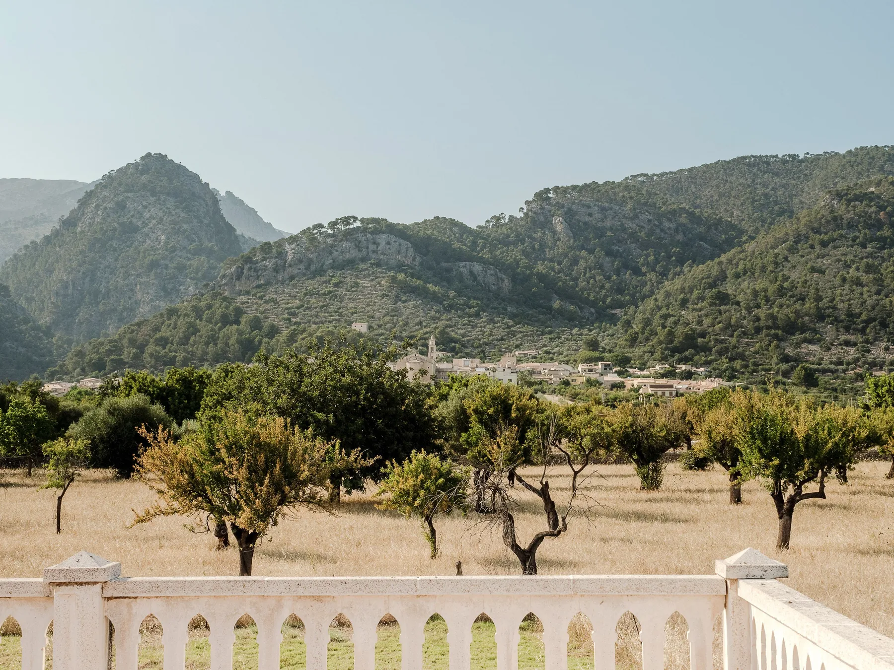 Un paisaje rural con árboles en primer plano y montañas boscosas al fondo.
