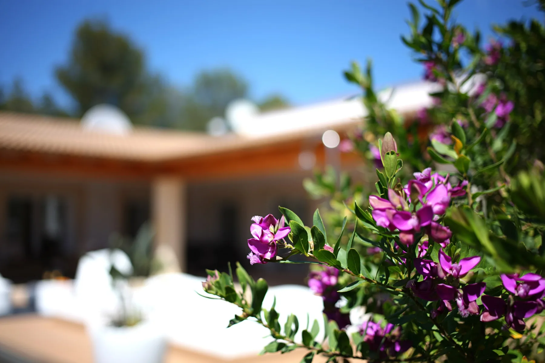 Villa Alba