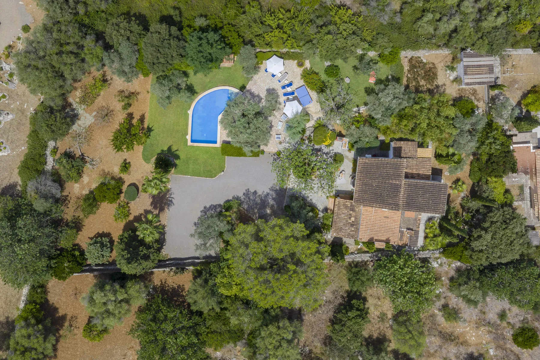 Vista aérea de una casa, una piscina y árboles alrededor.