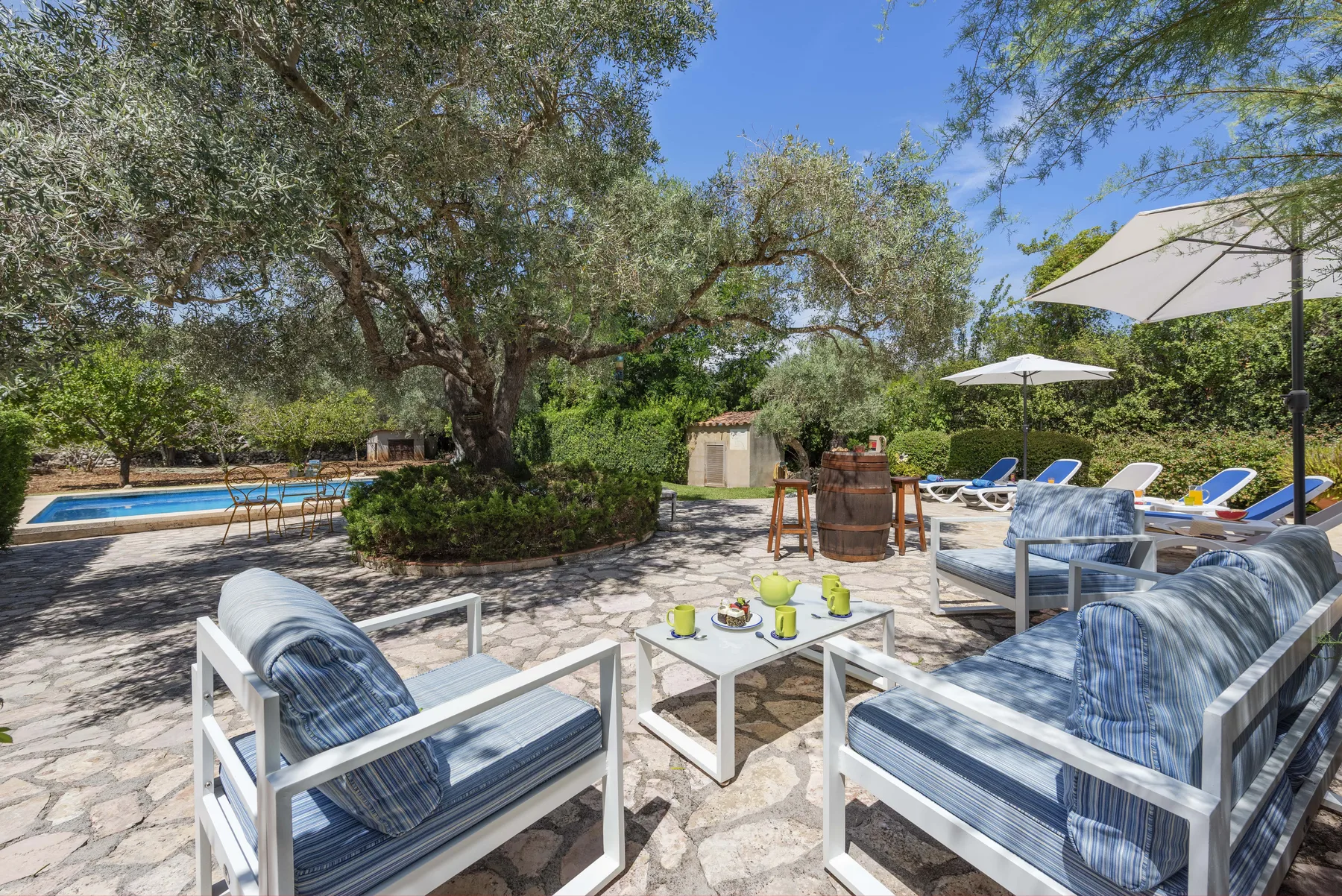 Un patio exterior con asientos acolchados, una piscina y árboles.