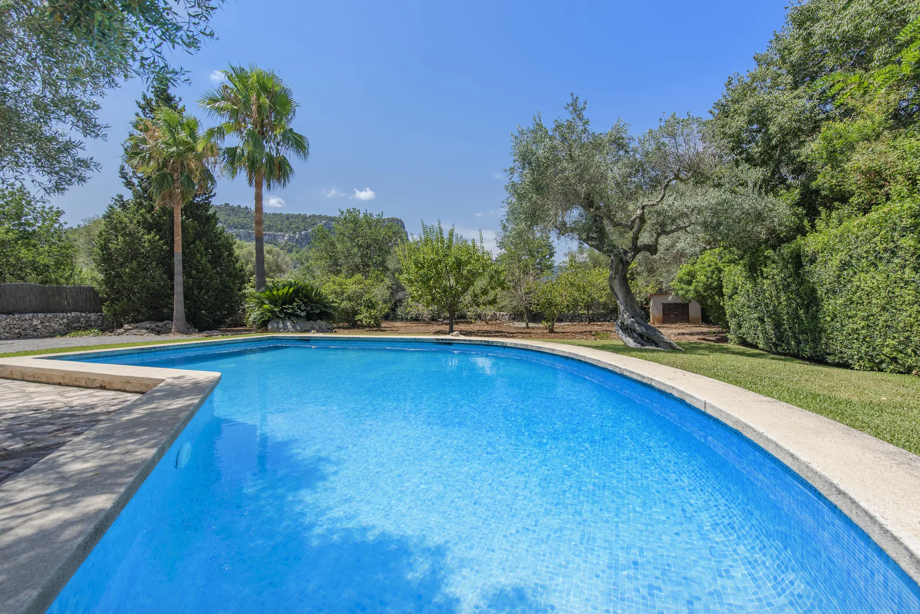 Una piscina curva entre jardines bajo un cielo azul despejado.
