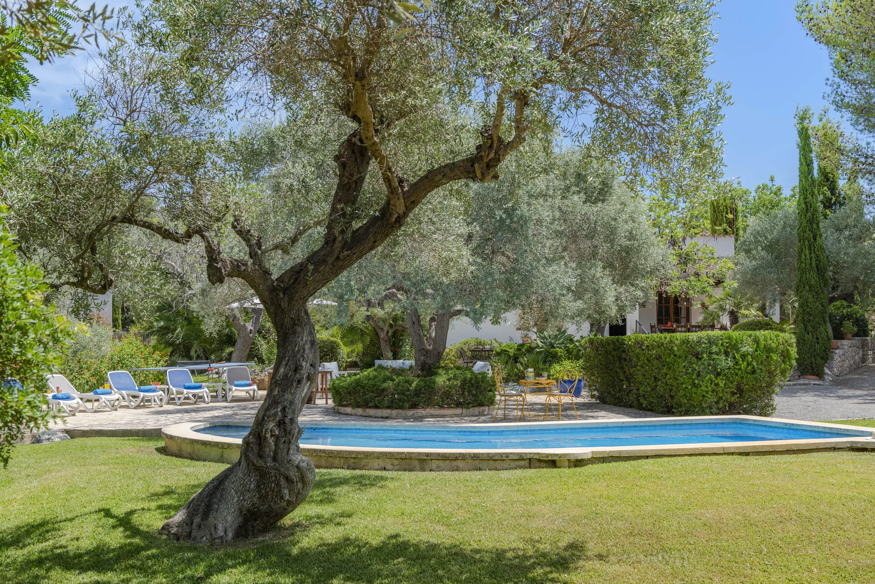 Una piscina en el jardín está rodeada de árboles frondosos, setos recortados y asientos al aire libre.