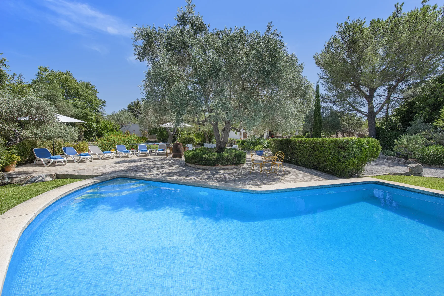 Una piscina está junto a un patio pavimentado con asientos y árboles.