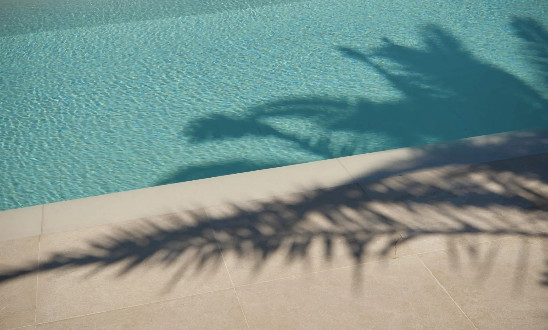 A swimming pool bordered by pale paving, with palm shadows across the edge.