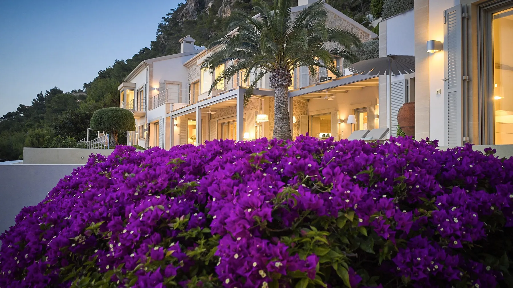 A row of white buildings with illuminated windows stands behind a bed of purple flowers.