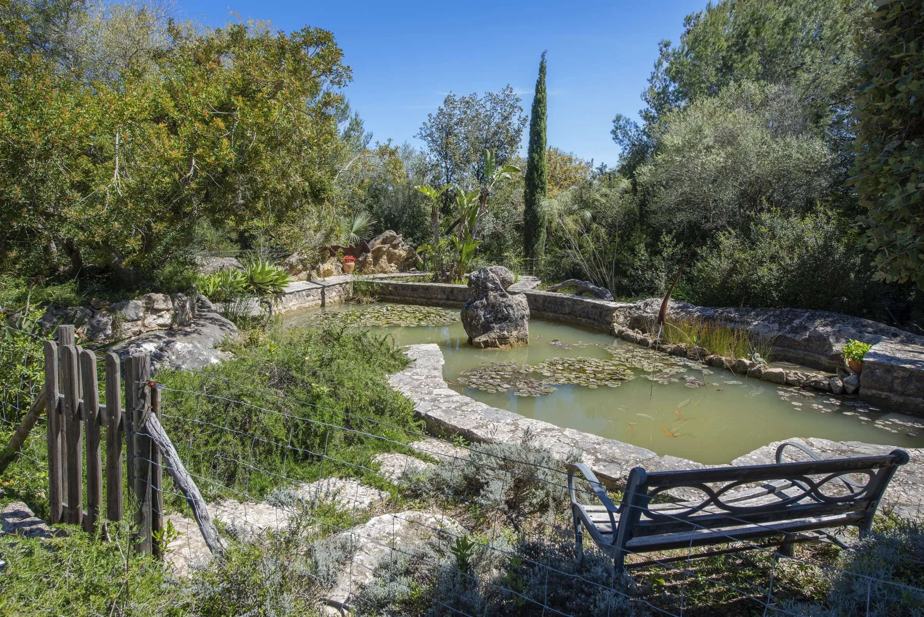 A garden pond with surrounding greenery and a bench beside the water.