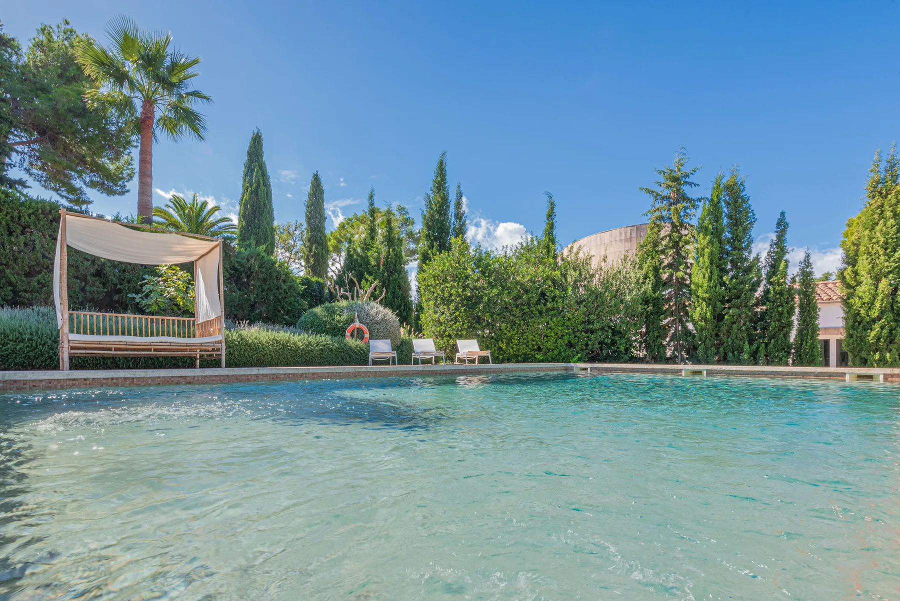 An outdoor swimming pool bordered by greenery and a shaded seating area.