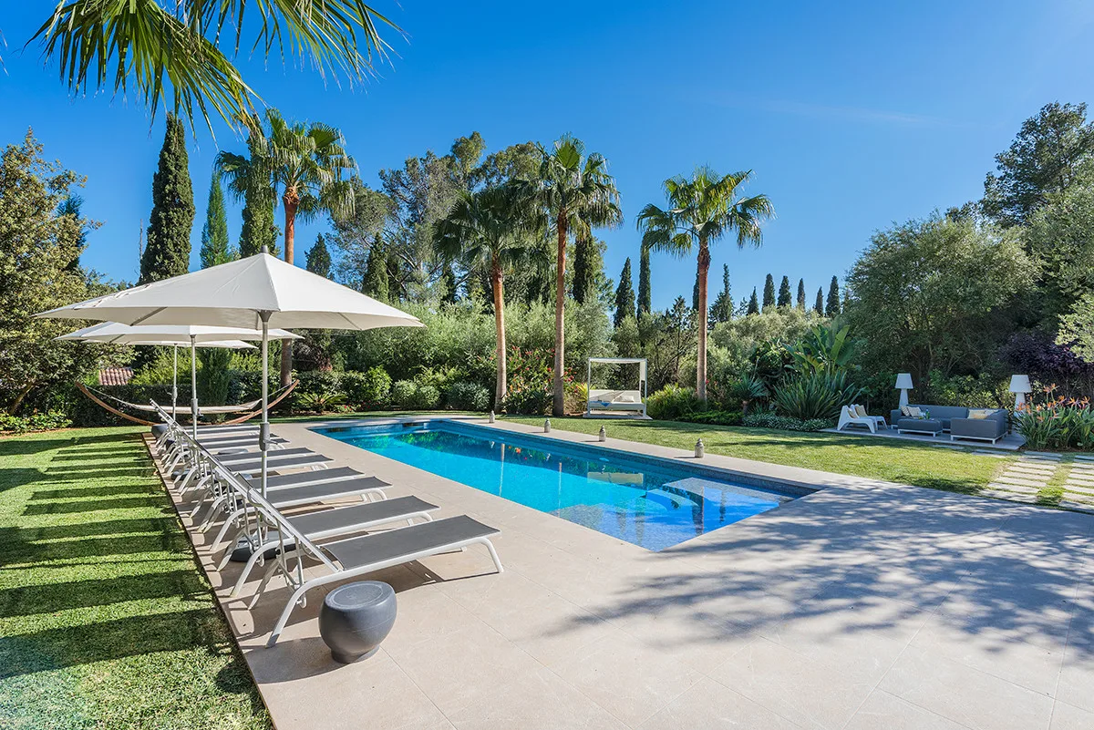 An outdoor swimming pool is surrounded by lounge seating and palm trees.