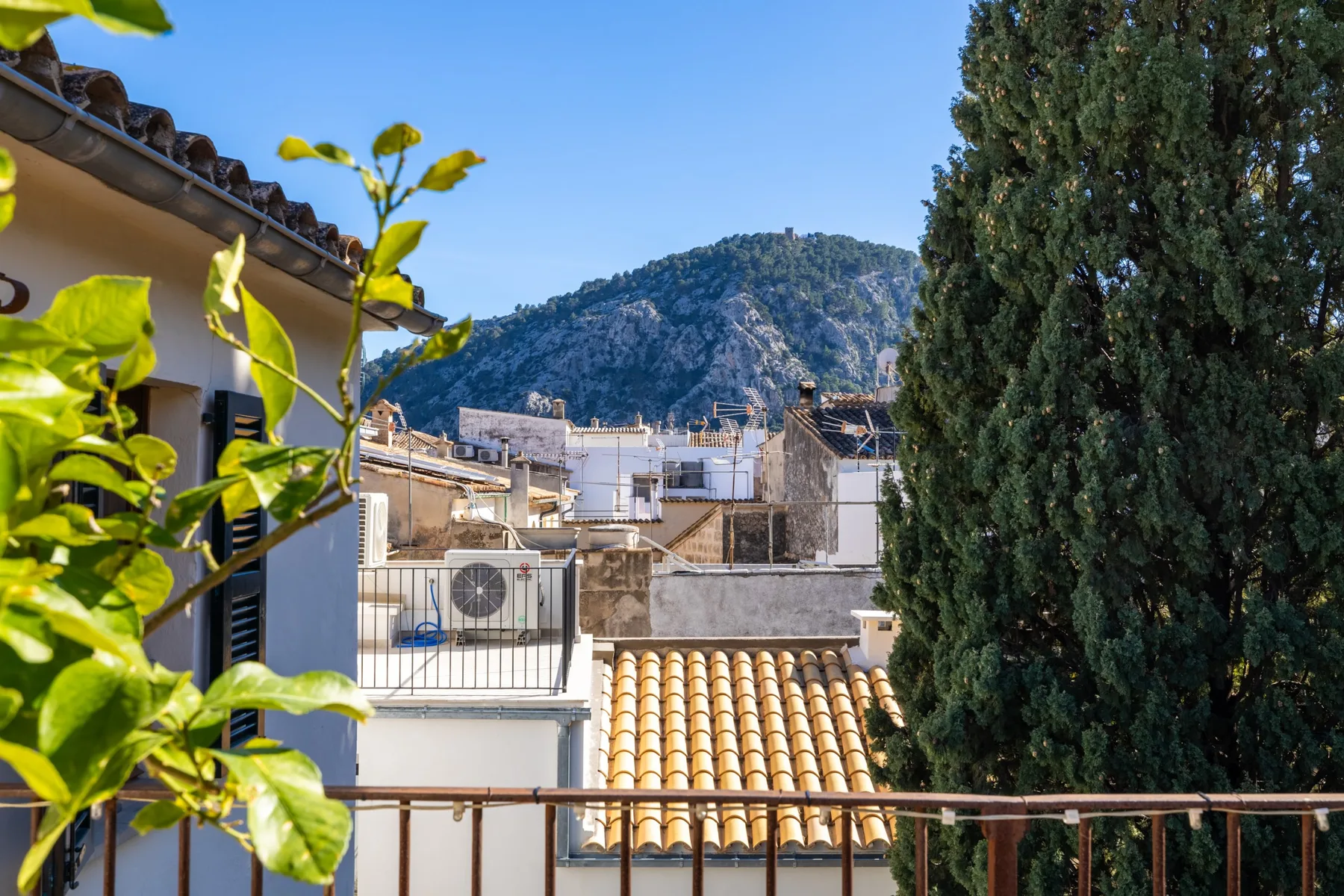 Vista de tejados cercanos y una montaña enmarcada por vegetación.