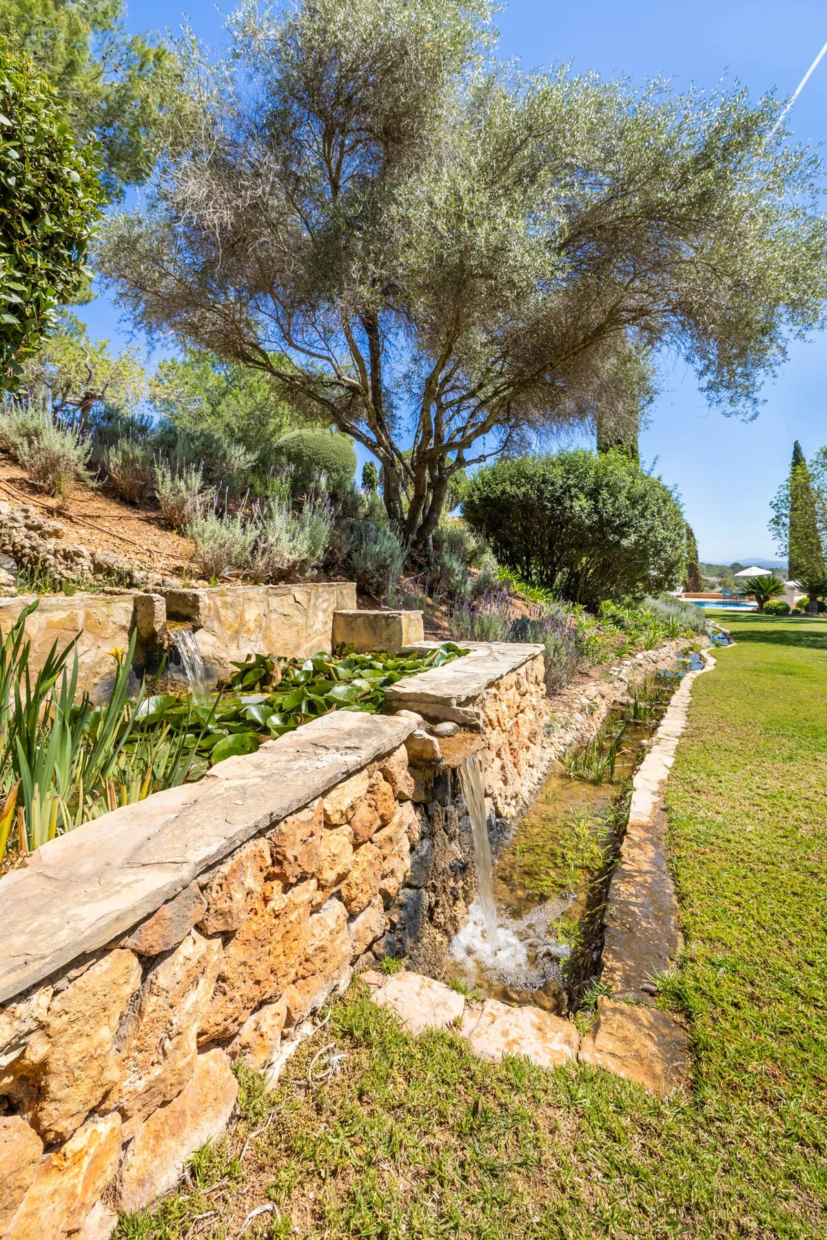 A landscaped garden features a stone water channel beneath a large tree.