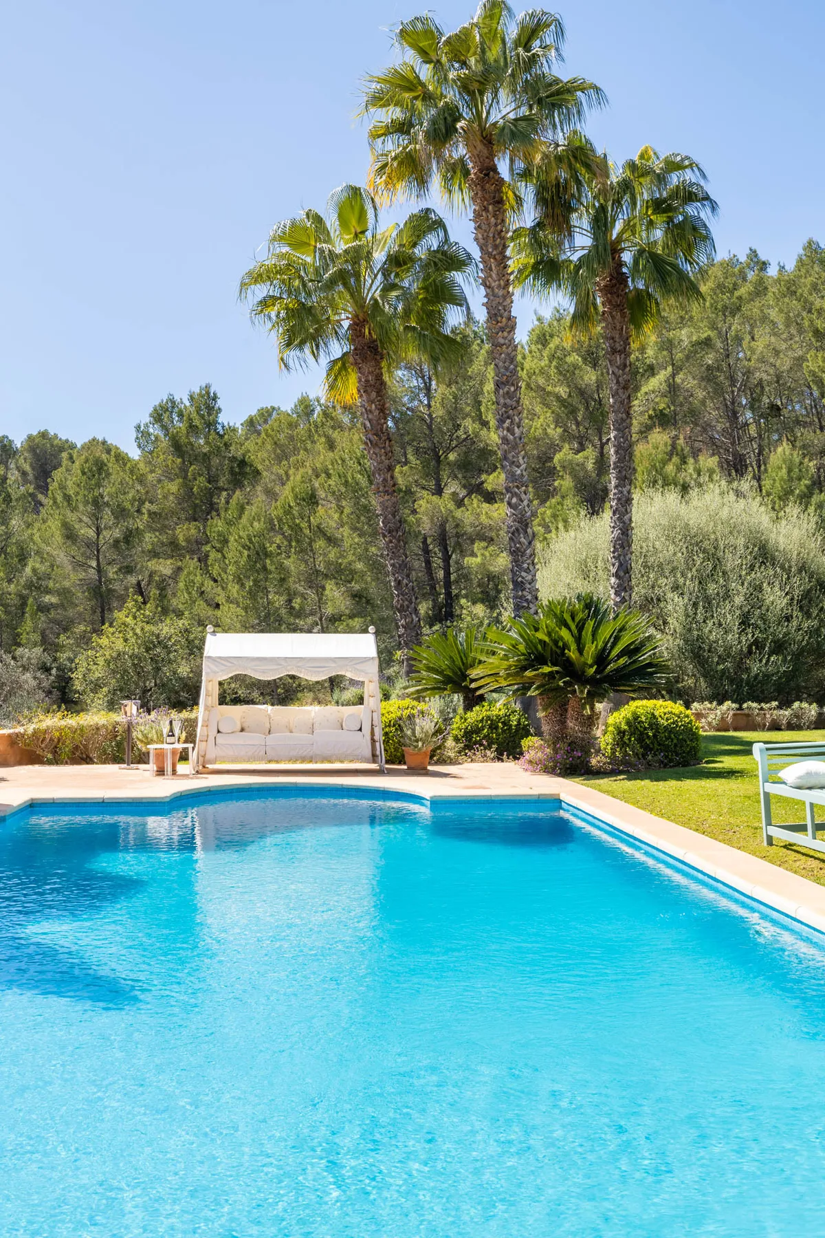 A swimming pool sits beside a garden with palm trees and outdoor seating.