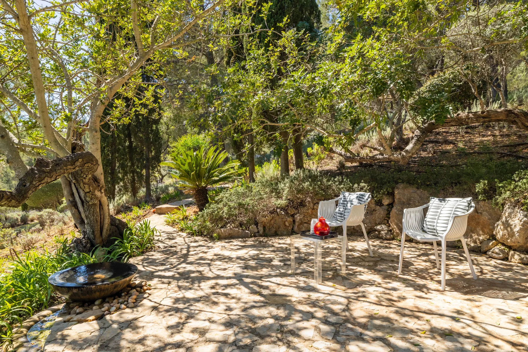 A shaded garden seating area with white chairs beneath leafy trees.