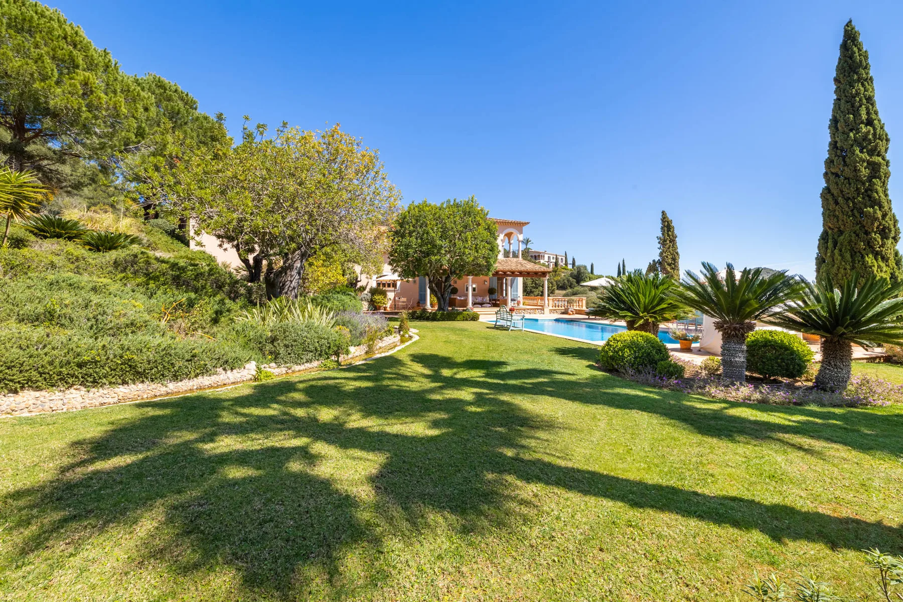 A landscaped garden with a lawn, palm trees, and a swimming pool.