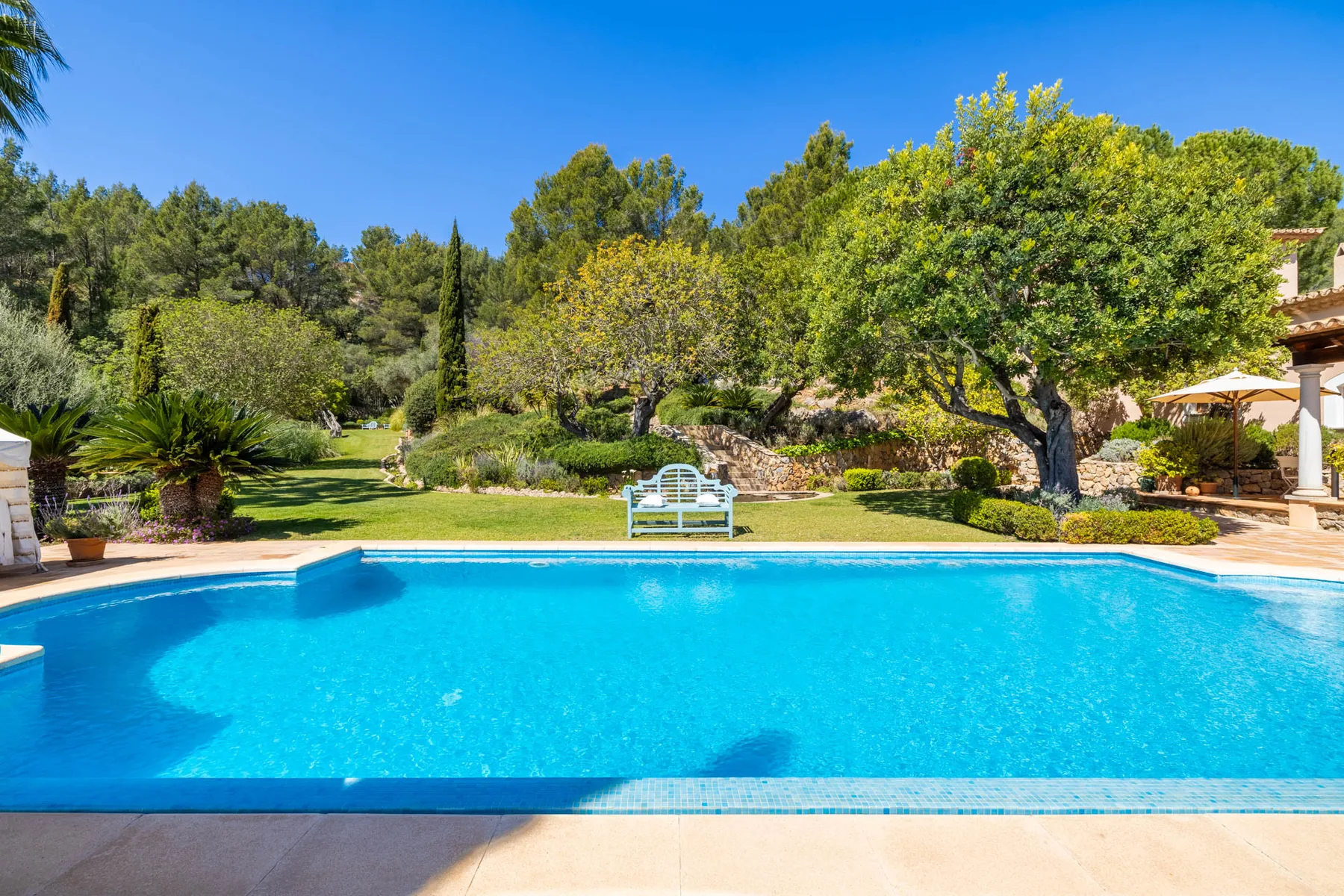A bright blue swimming pool sits beside a landscaped garden with trees and a bench.