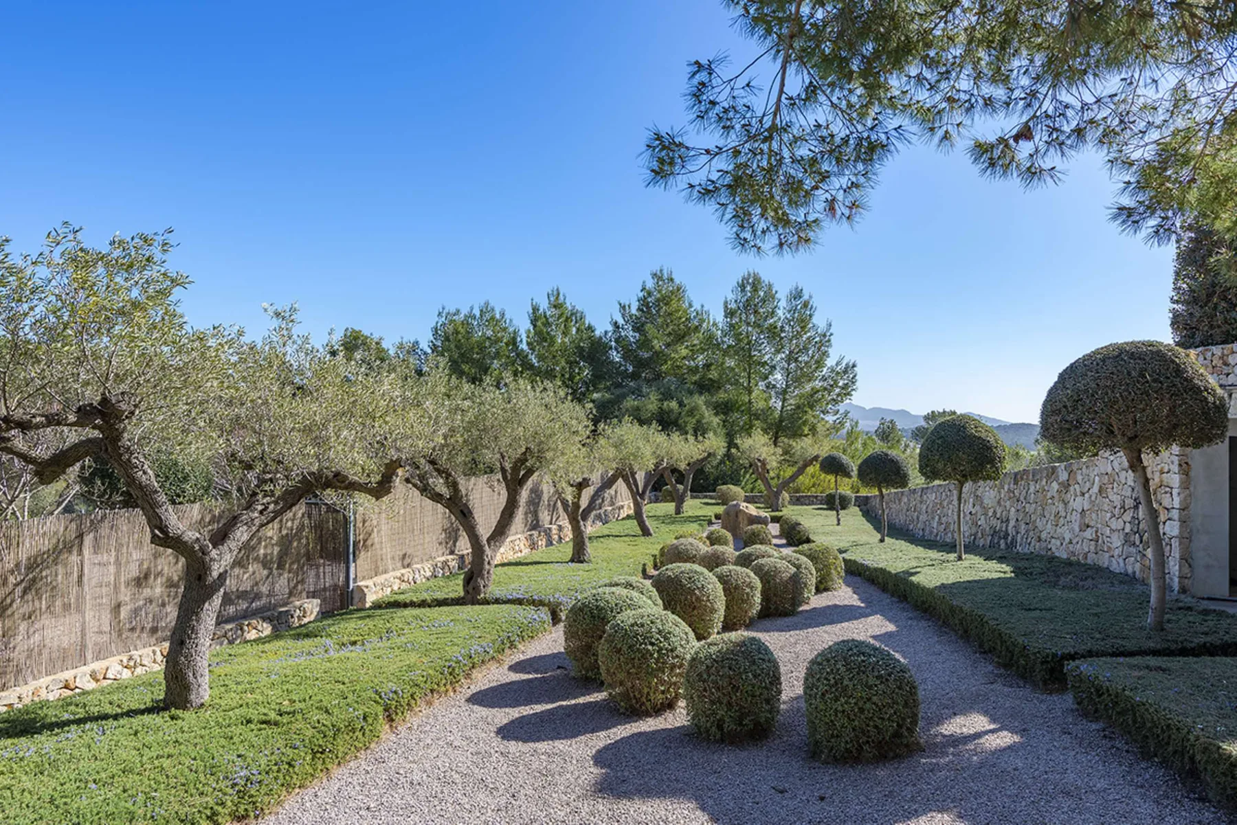 A landscaped garden path winds between trimmed shrubs and rows of trees.