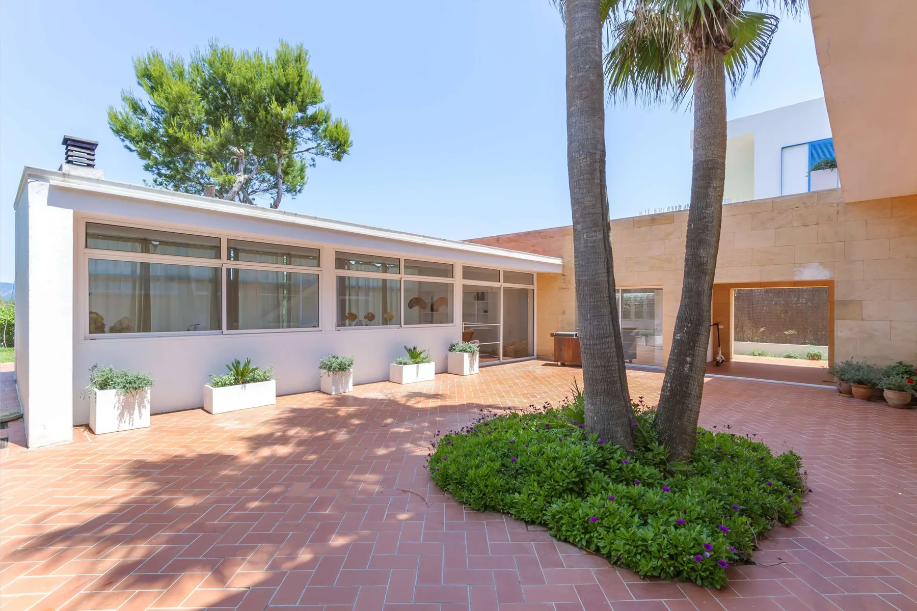 A tiled courtyard beside a low building, with large windows and palm trees.