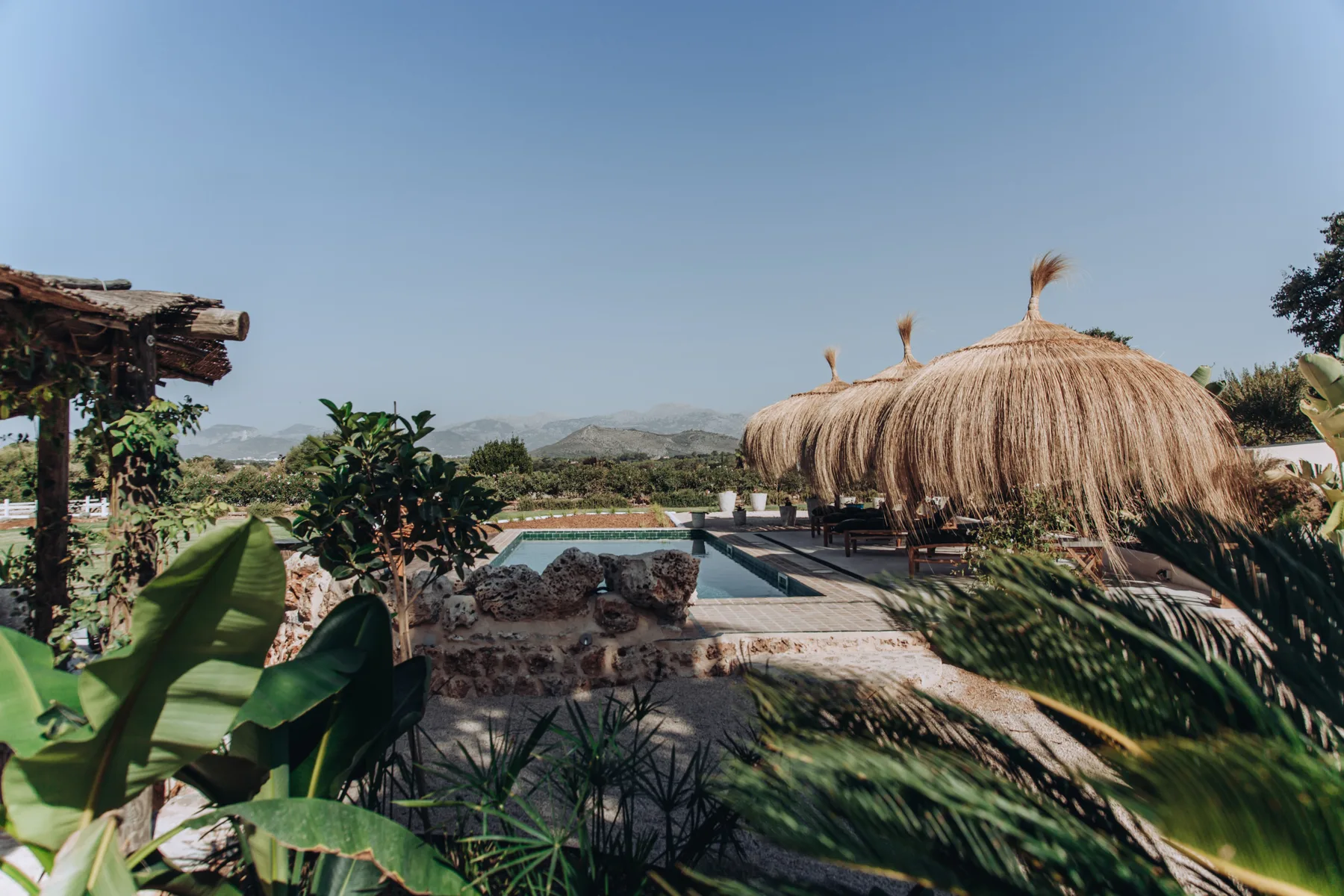 An outdoor pool area with a thatched shade canopy and surrounding greenery.