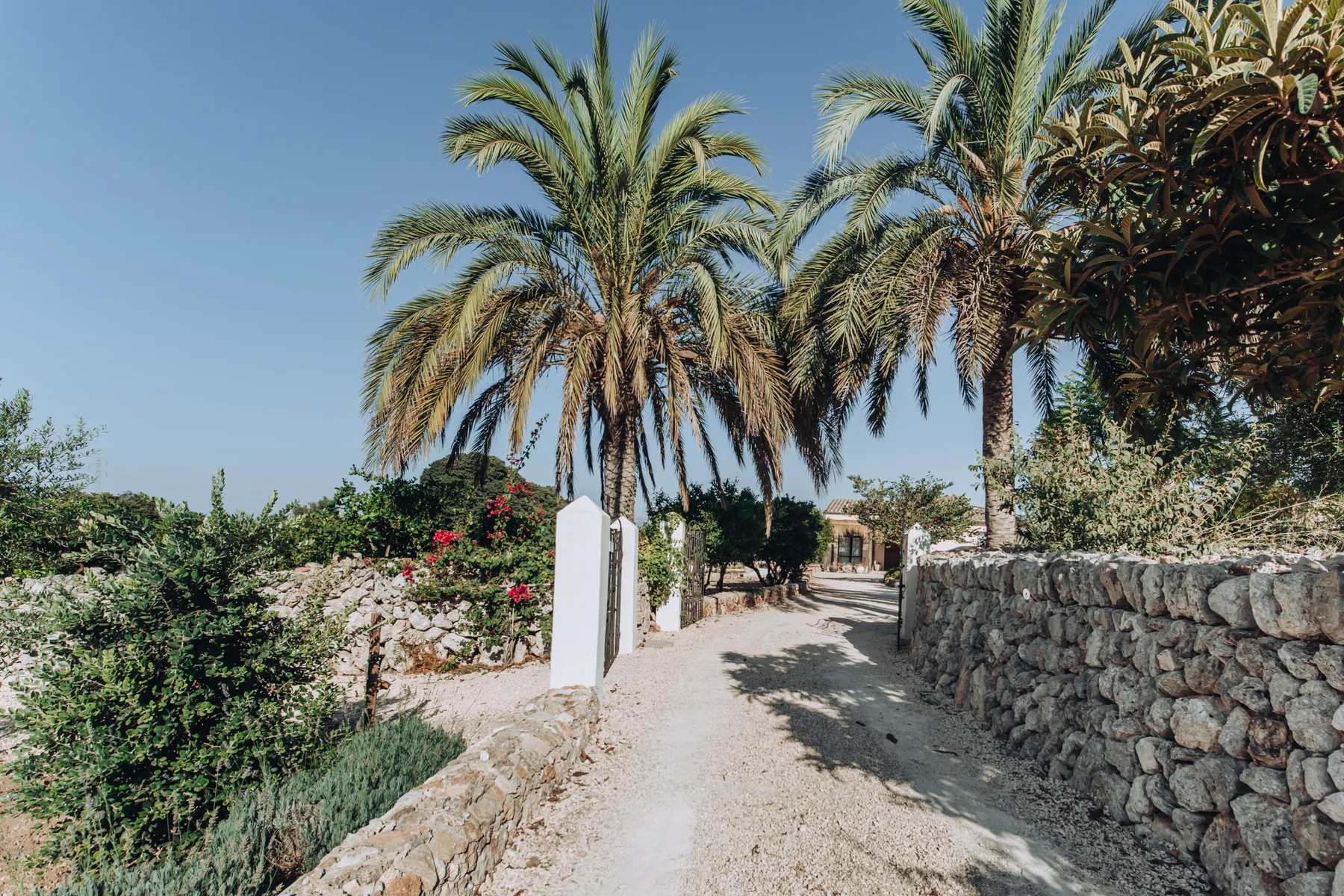 A sunlit path runs between stone walls and palm trees.