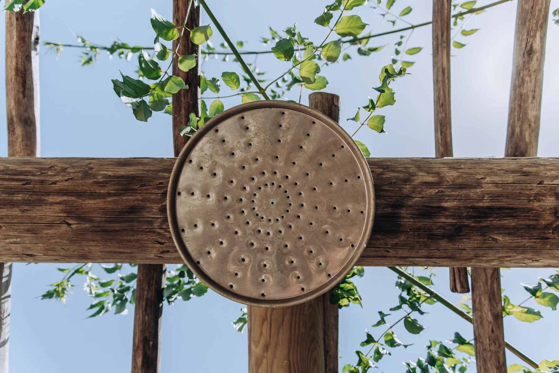 A circular shower head is mounted beneath a wooden pergola with leafy branches overhead.