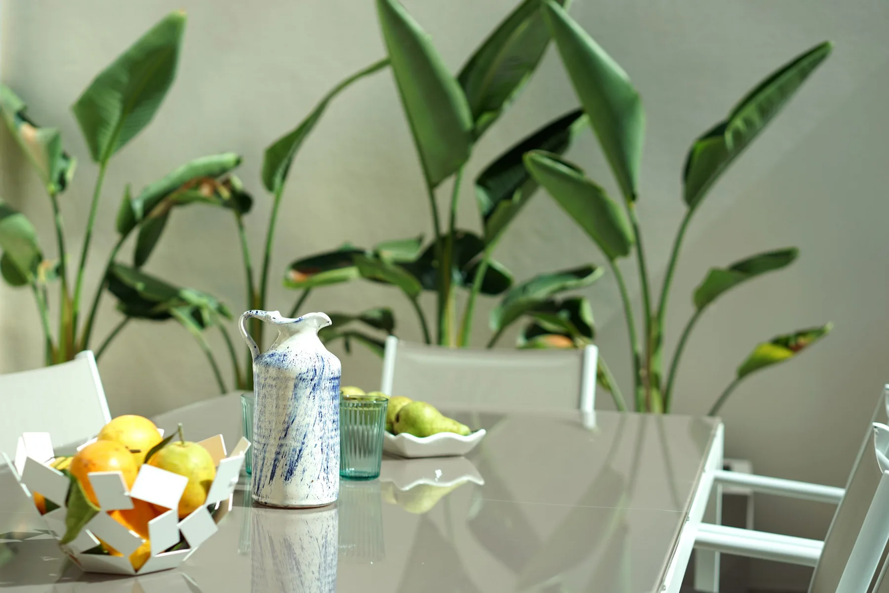 A dining table is set with fruit, a pitcher, and a glass, with leafy plants behind it.