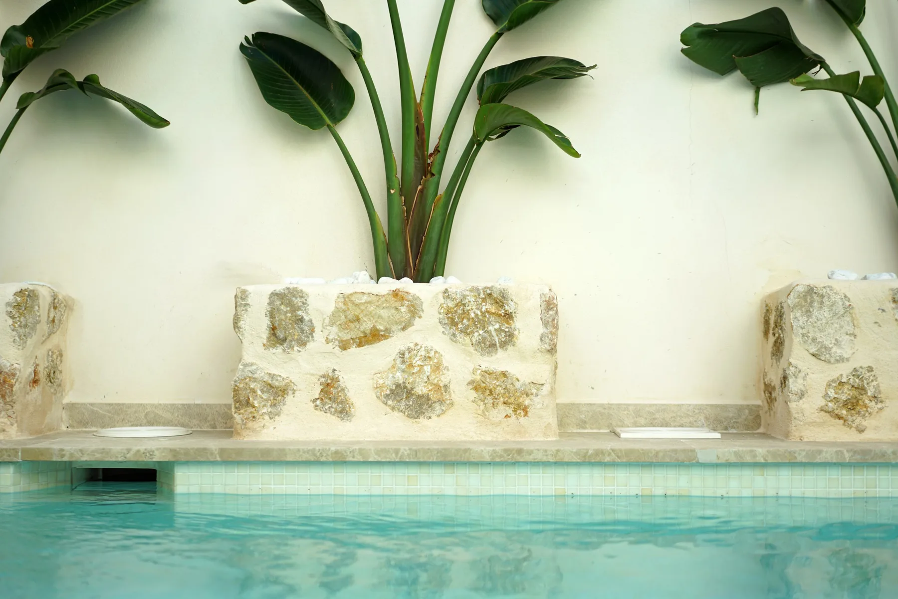 A swimming pool with a stone feature wall and tropical plants.