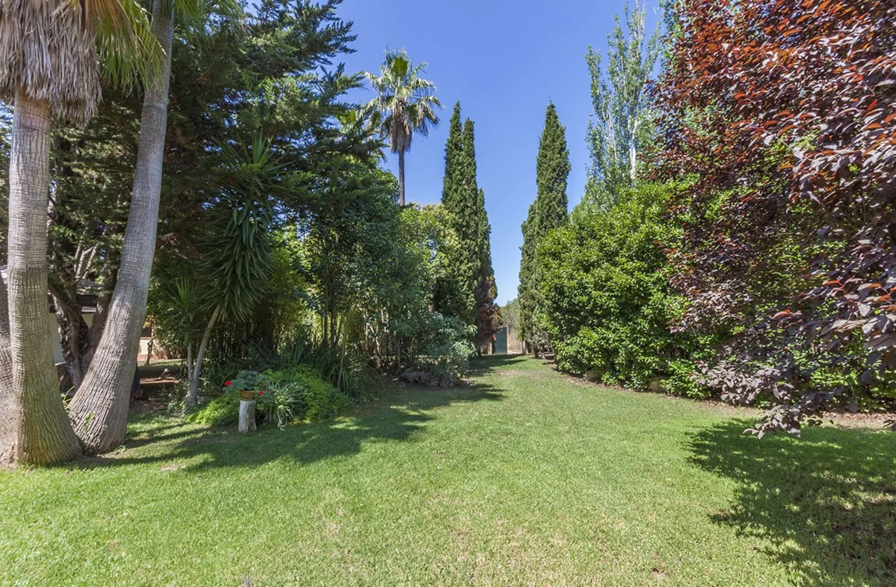 Finca Santa Maria