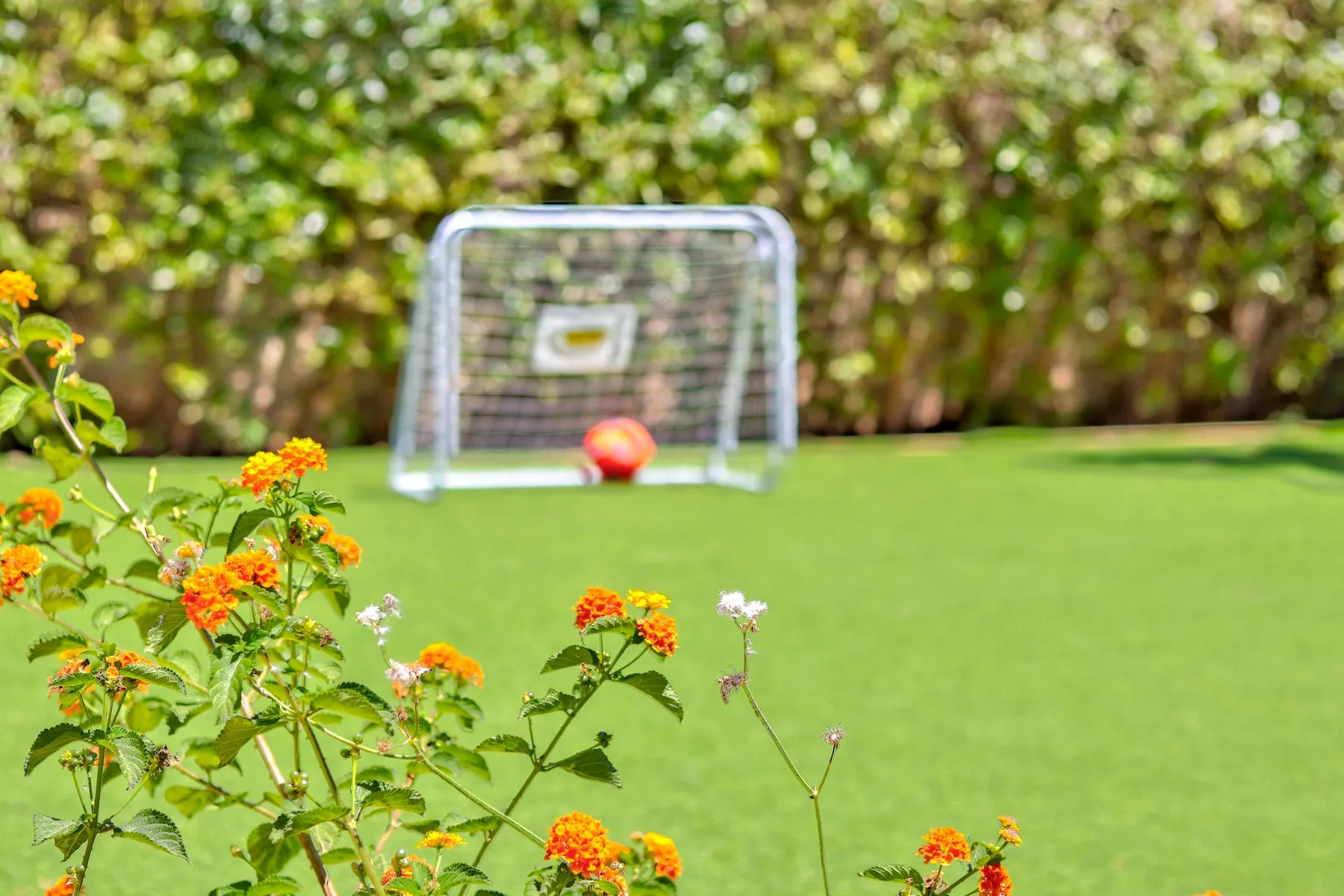 A small soccer goal and ball sit on a green lawn bordered by flowering plants.