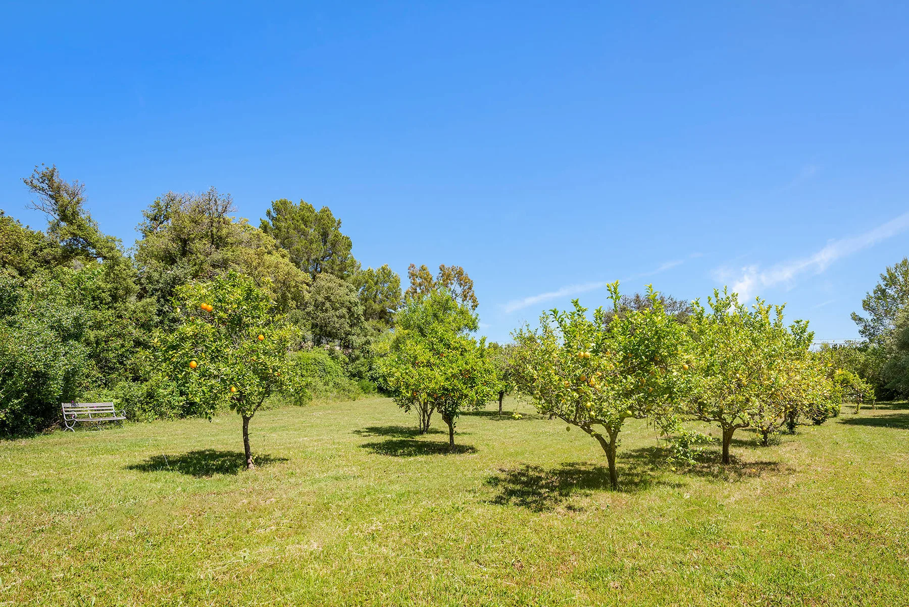 Finca Caro