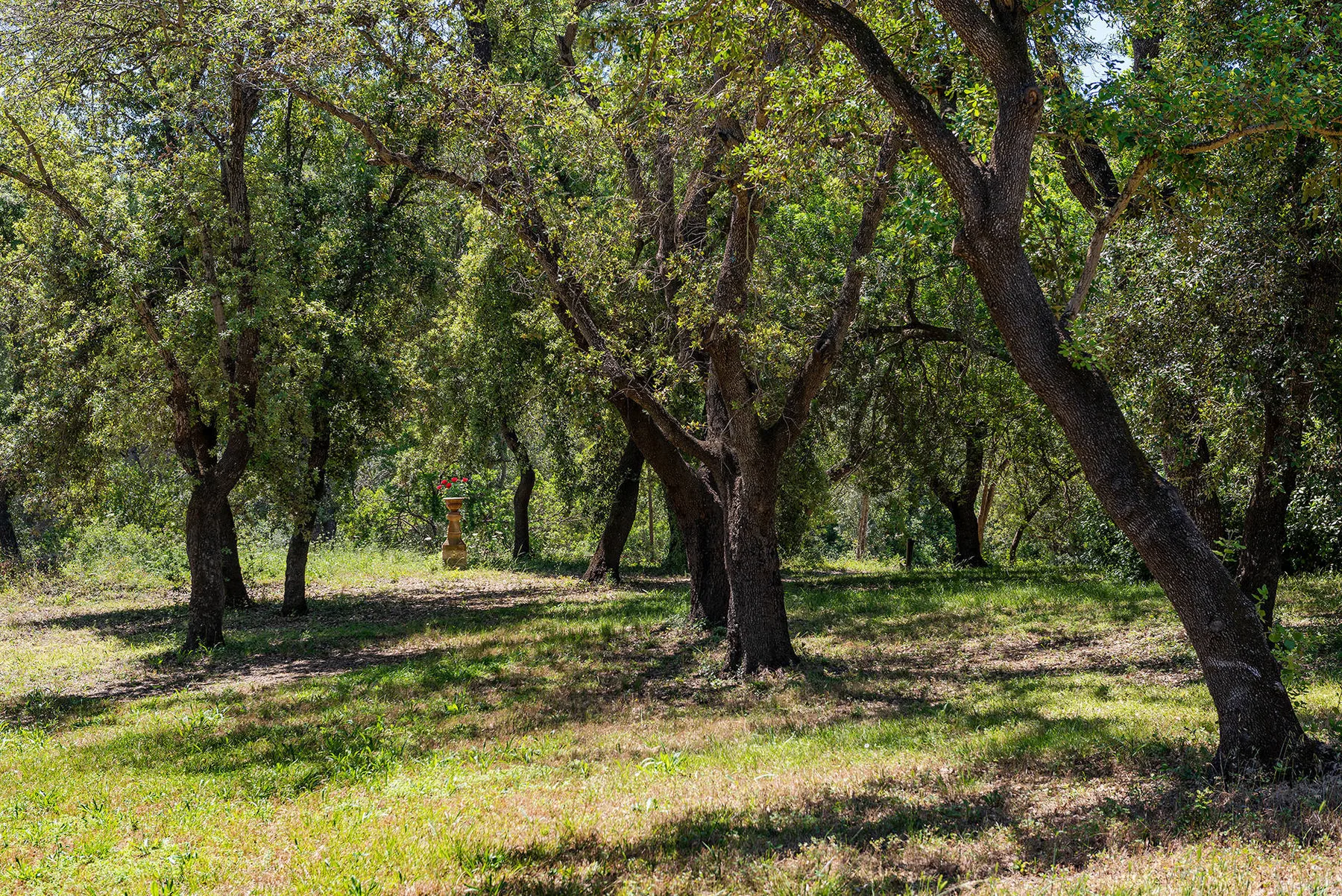 Finca Caro