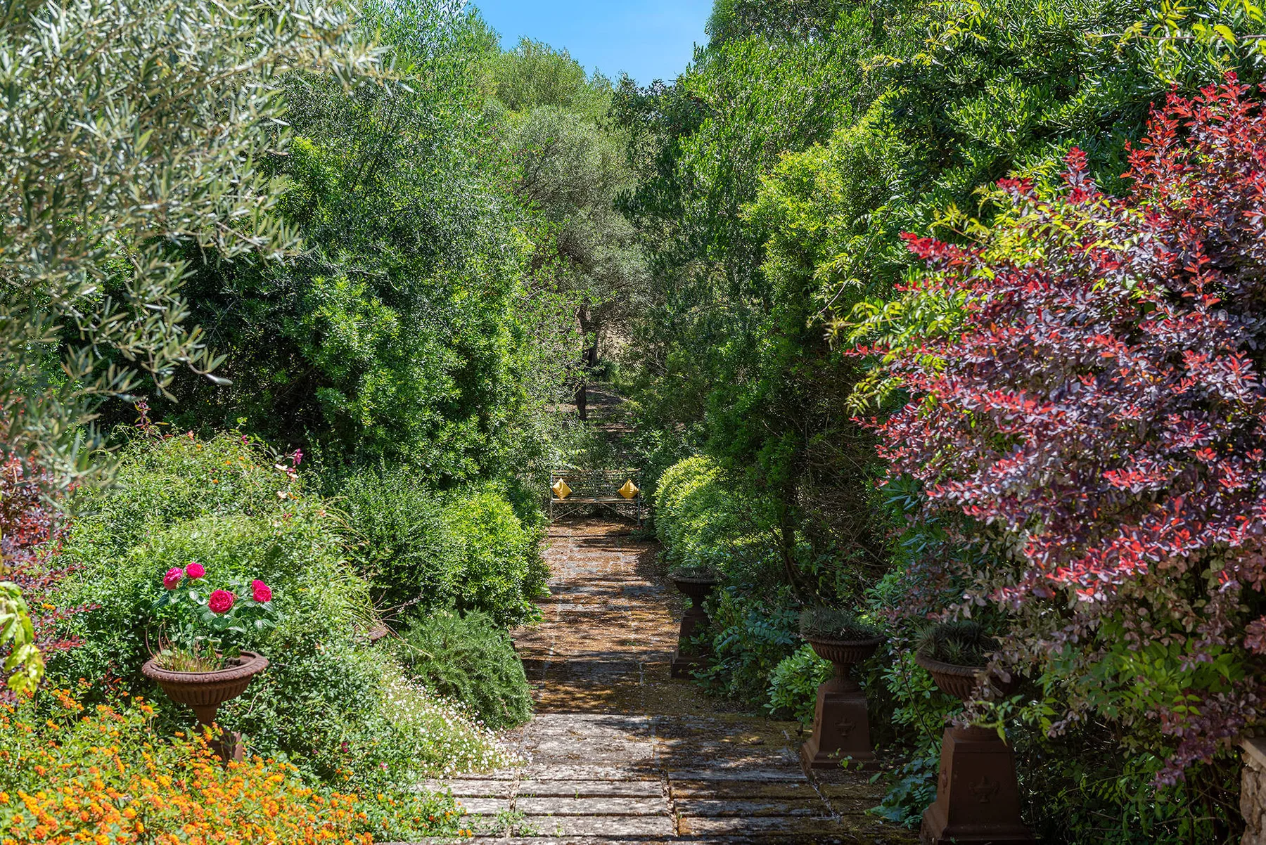 Finca Caro
