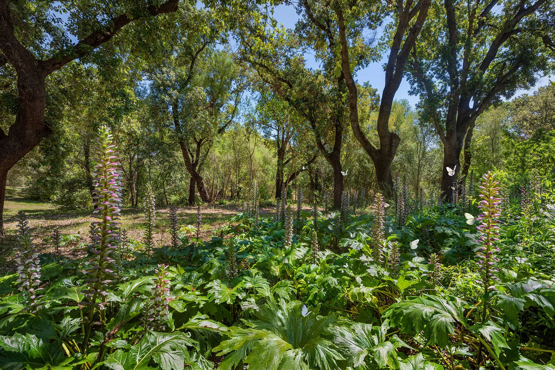 Finca Caro