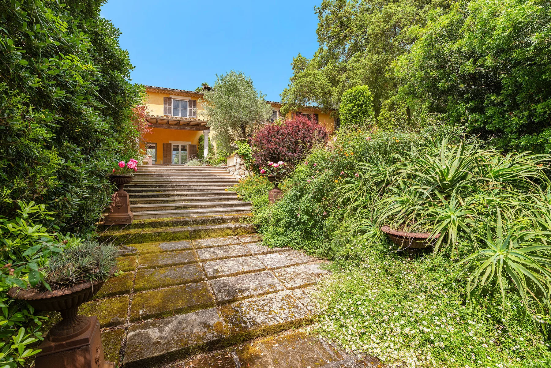 Finca Caro