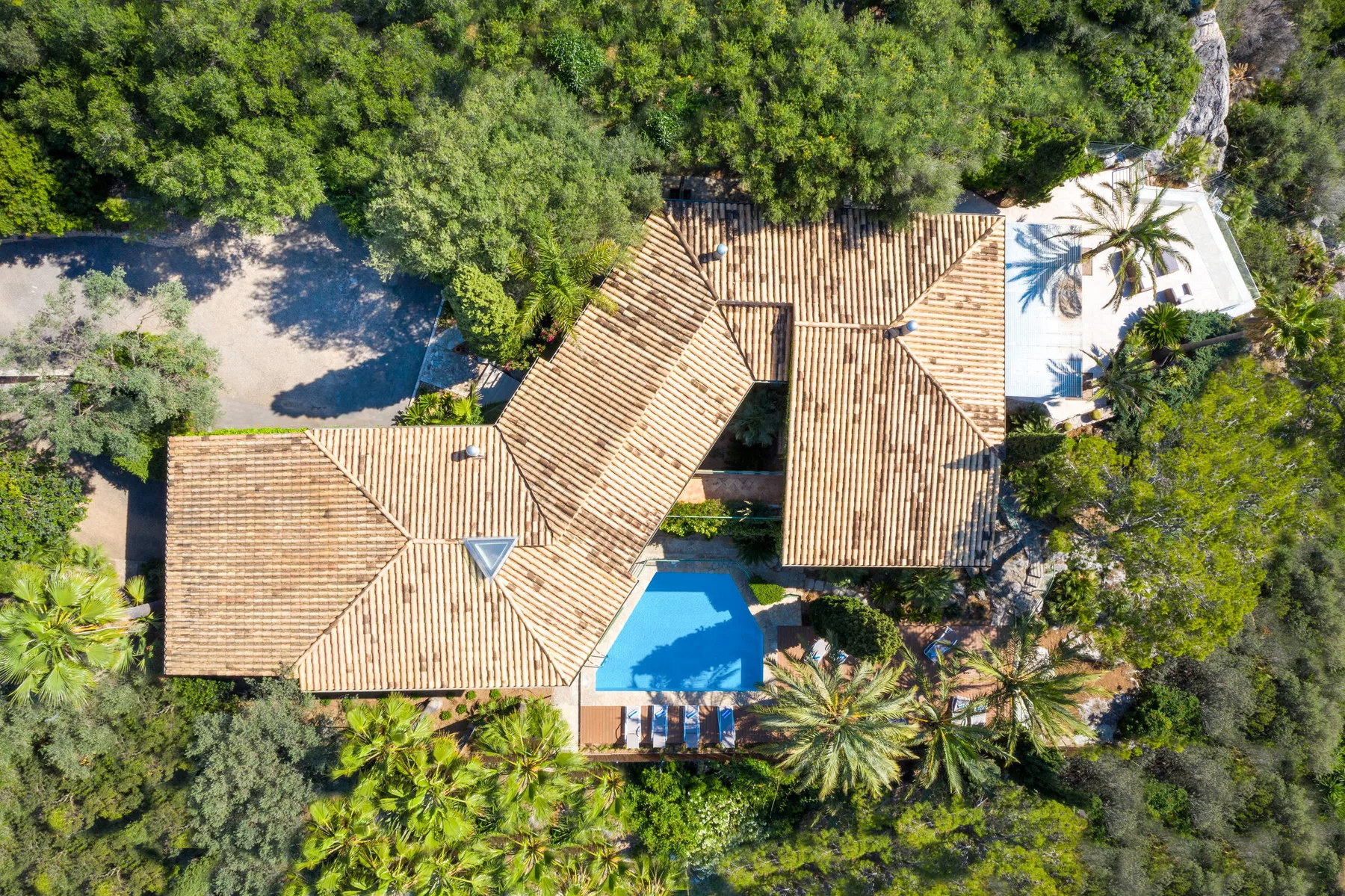 Vista aérea de una casa rodeada de árboles, con una piscina.
