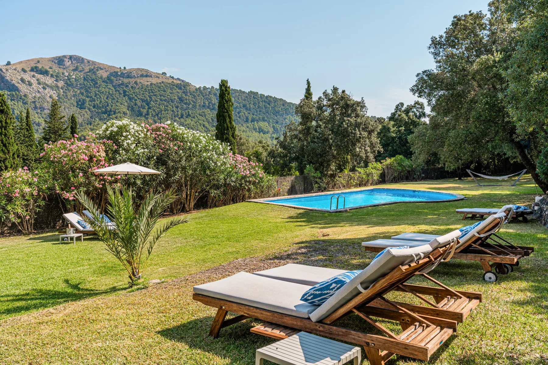 Un jardín con césped rodea una piscina, con tumbonas bajo árboles frondosos.