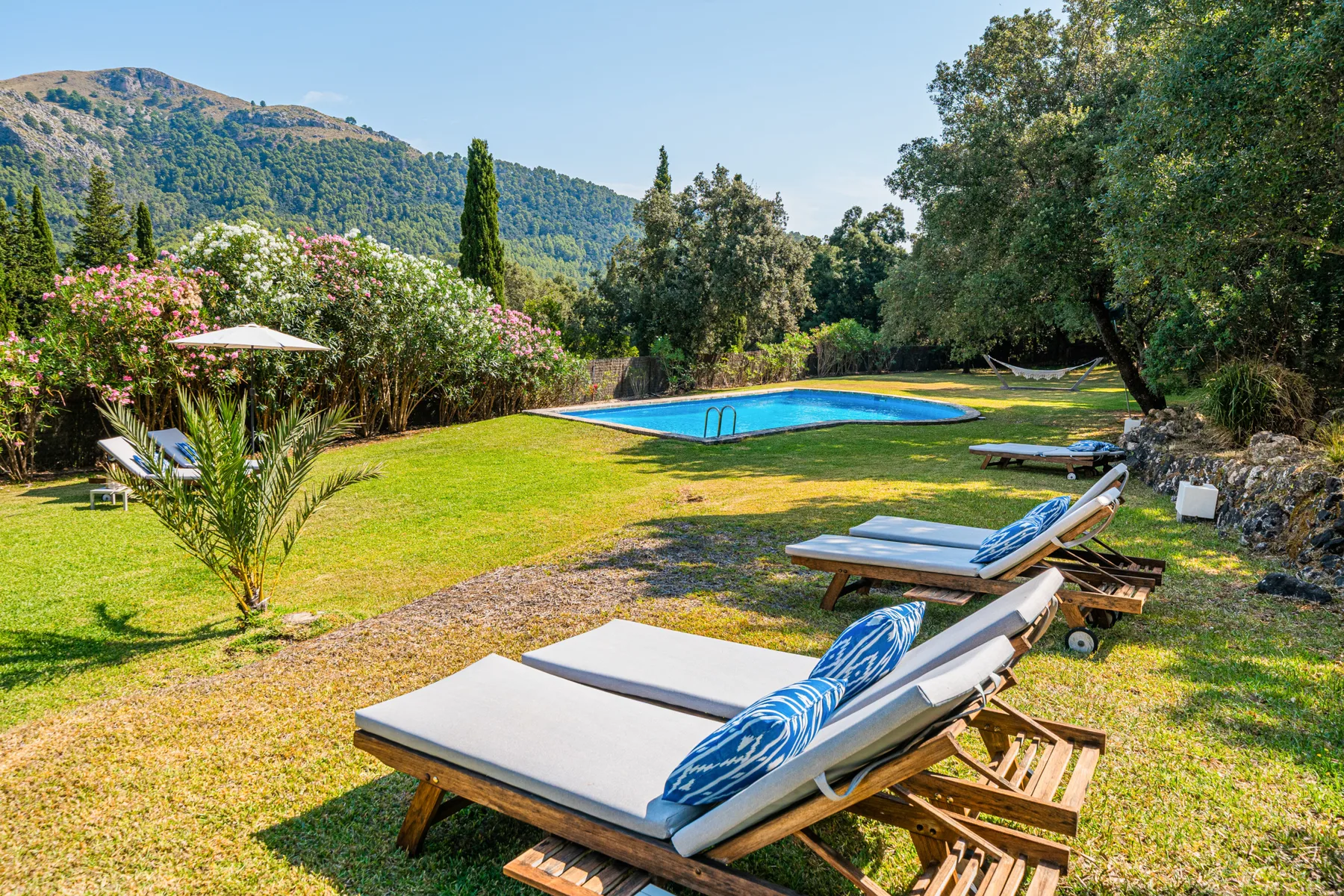 Zona de piscina con tumbonas, vegetación y colinas boscosas al fondo.
