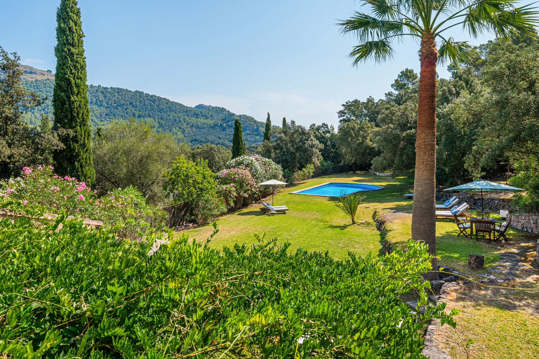 Un jardín rodea una piscina, con colinas y árboles al fondo.